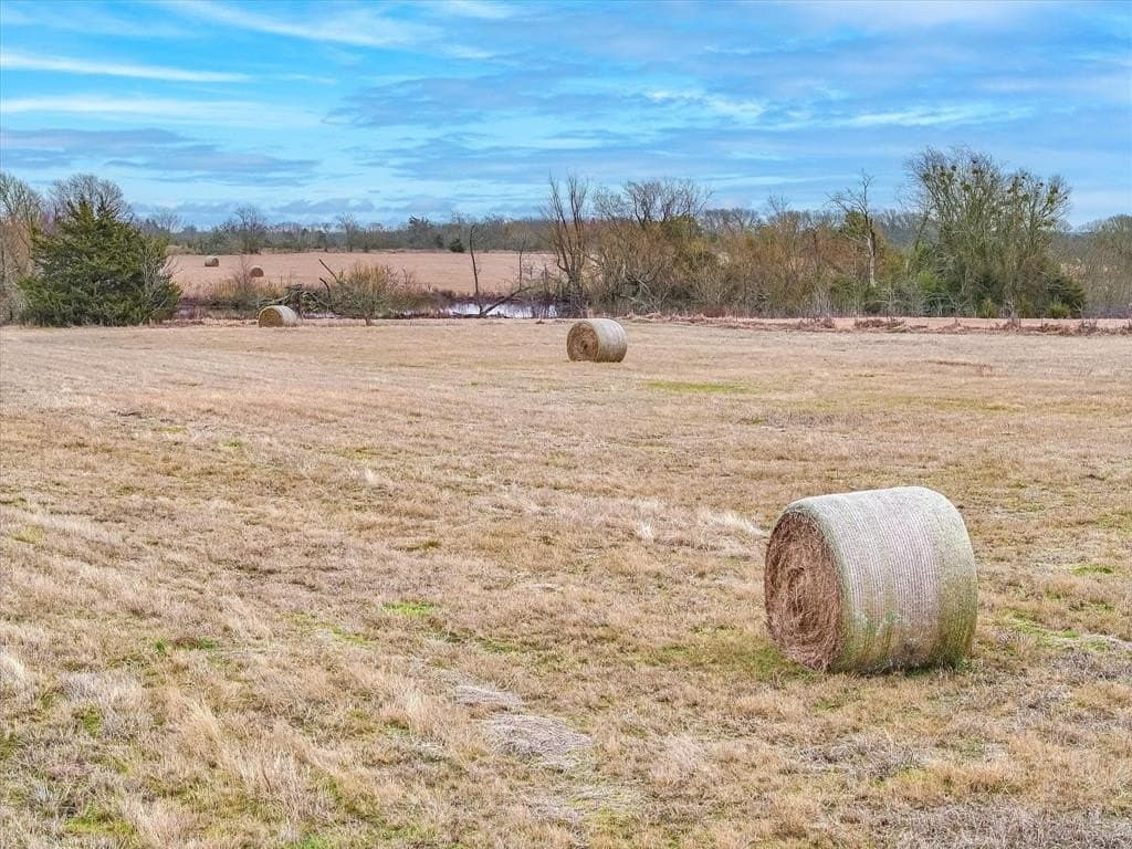 15.5 acres in Kaufman County - photo 8