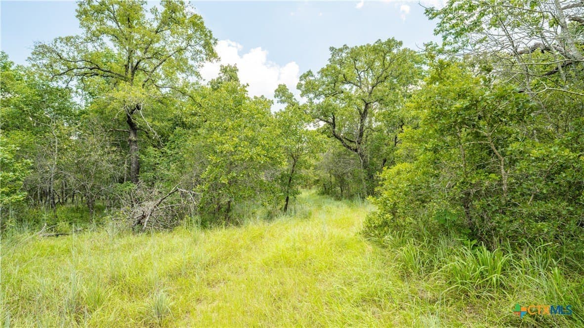 10.01 acres in Milam County - photo 5