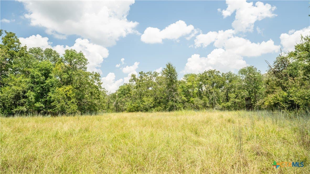 10.01 acres in Milam County - photo 8