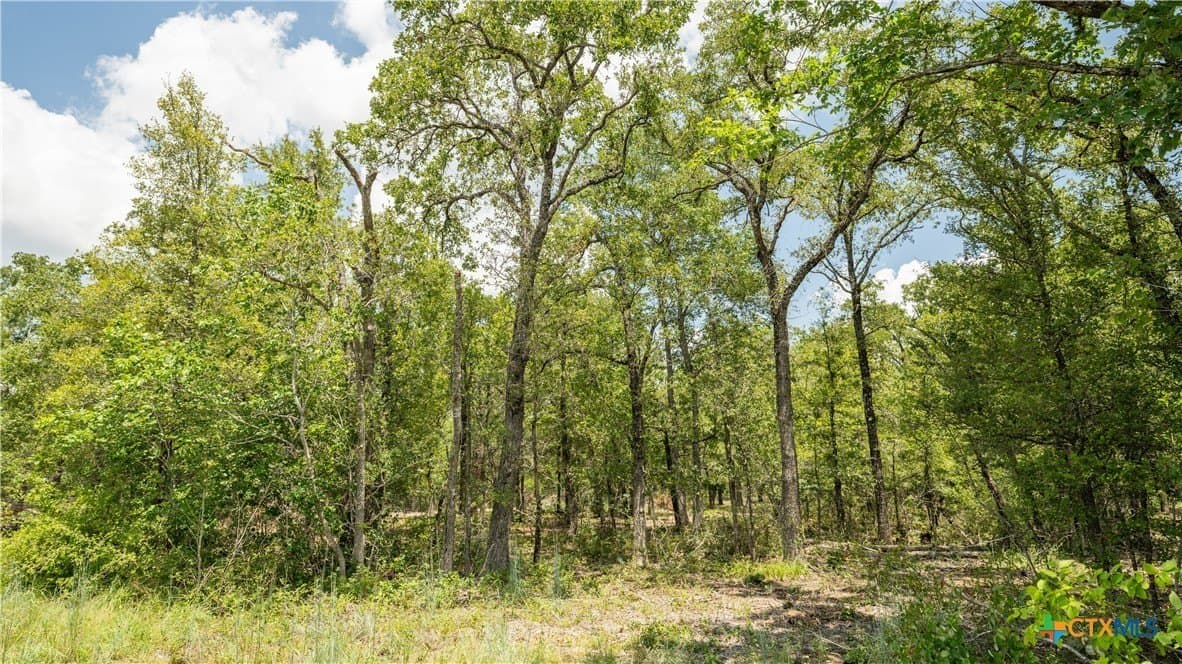 10.01 acres in Milam County - photo 14