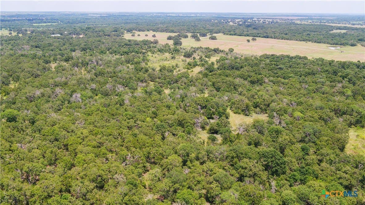10.01 acres in Milam County - photo 2