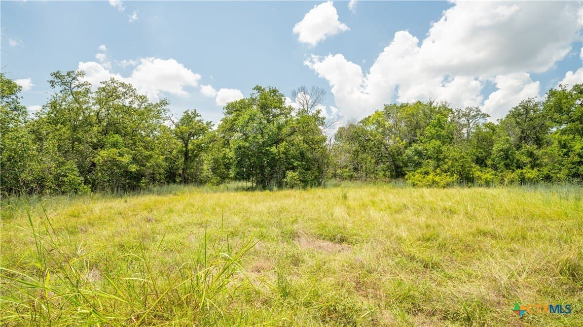 10.01 acres in Milam County - photo 6