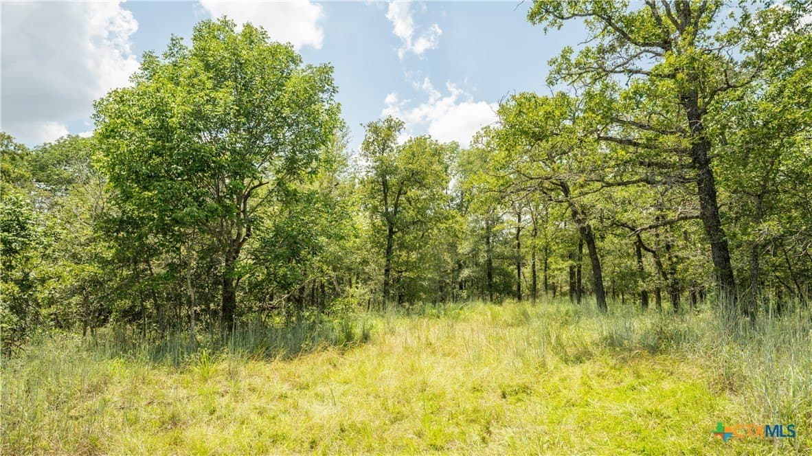 10.01 acres in Milam County - photo 10