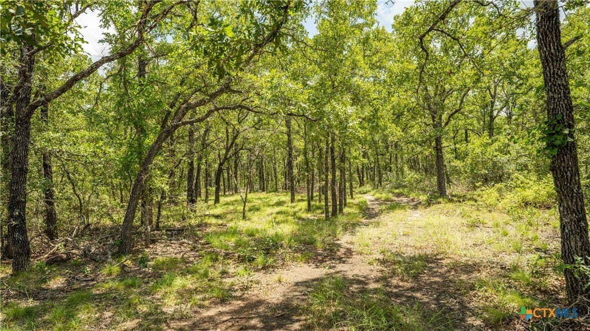 10.01 acres in Milam County - photo 12