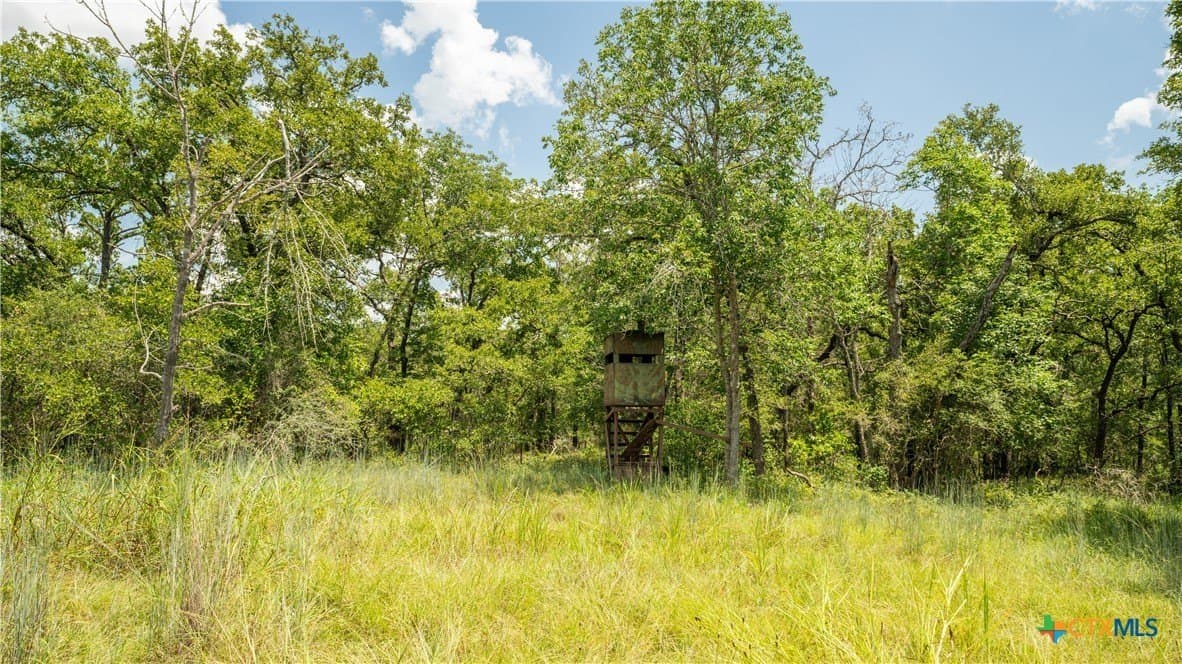 10.01 acres in Milam County - photo 7