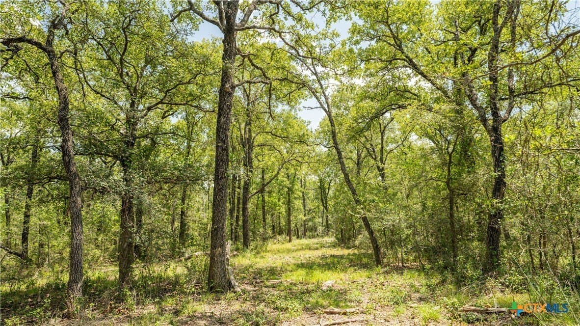 10.01 acres in Milam County - photo 11