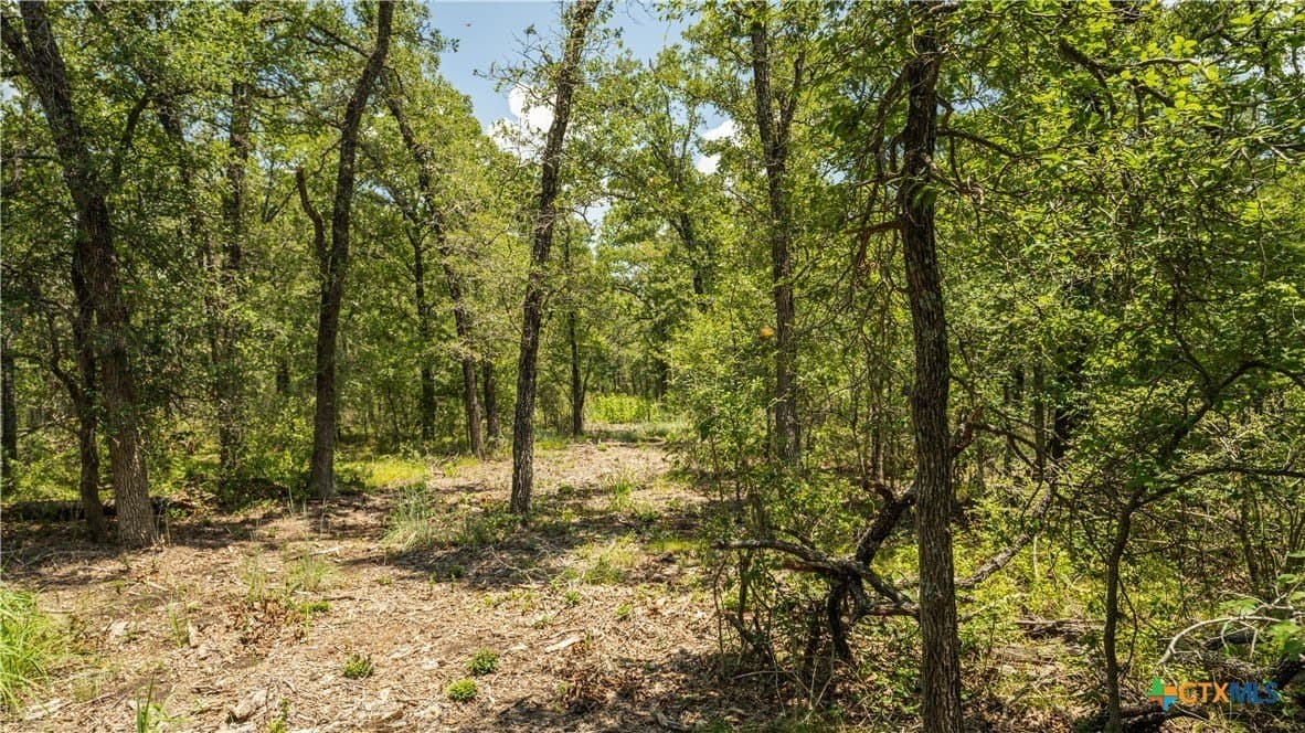 10.01 acres in Milam County - photo 13