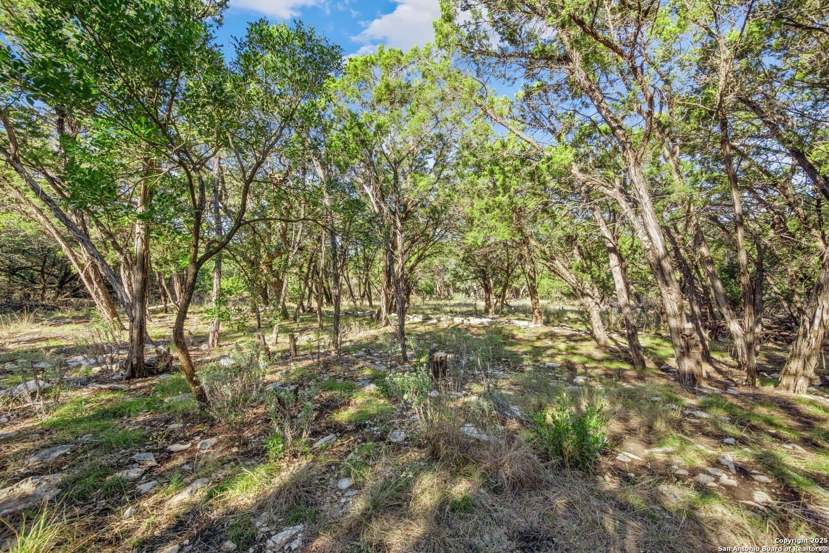 1.01 acres in Bexar County - photo 5