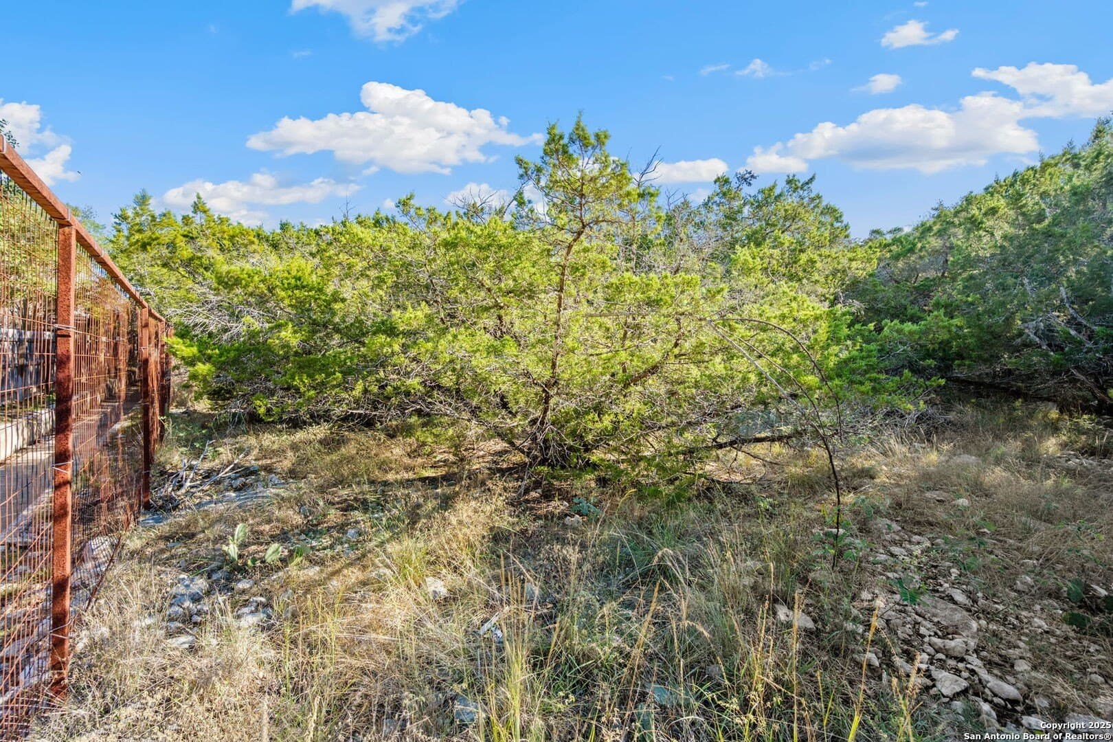 1.01 acres in Bexar County - photo 7