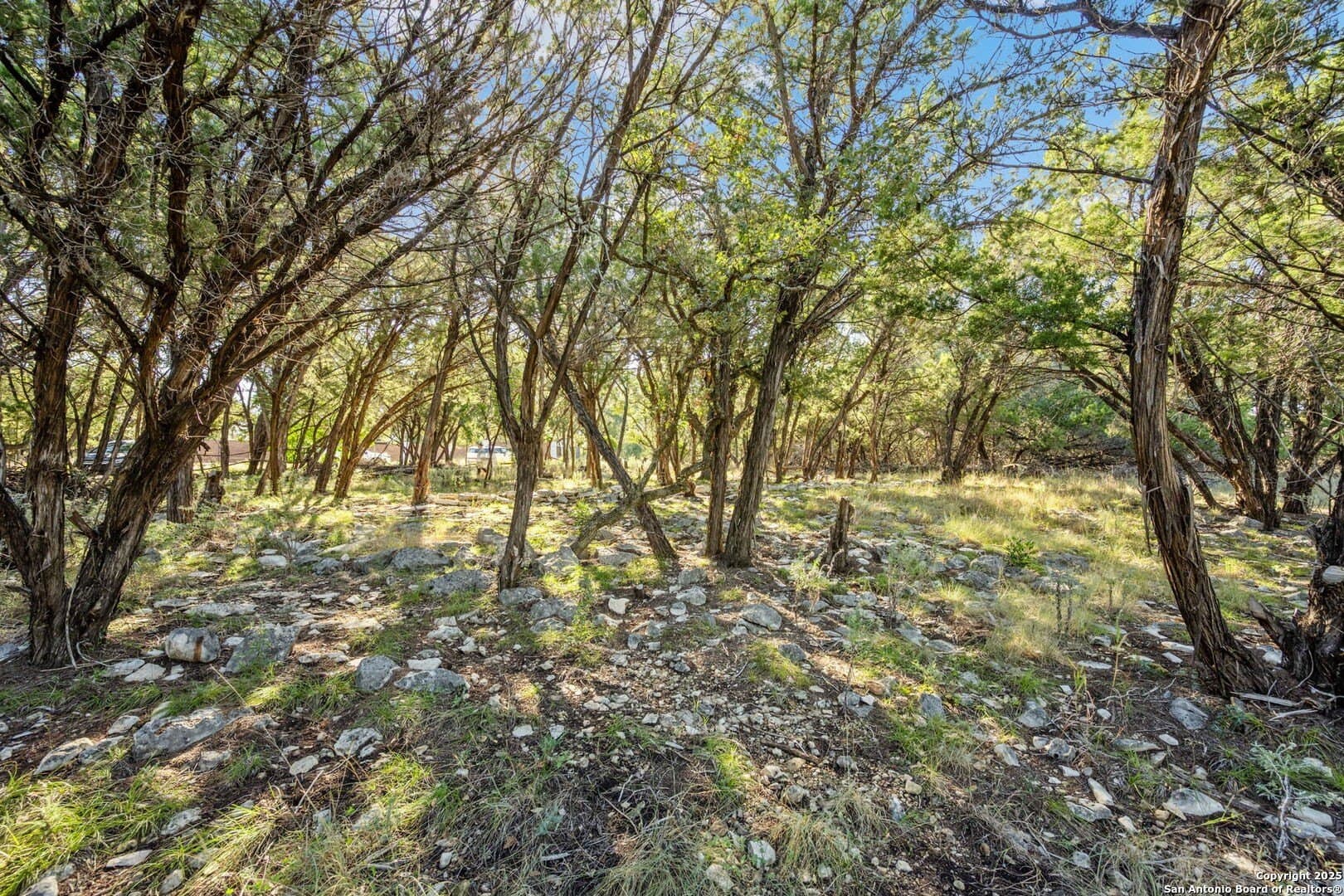 1.01 acres in Bexar County - photo 2