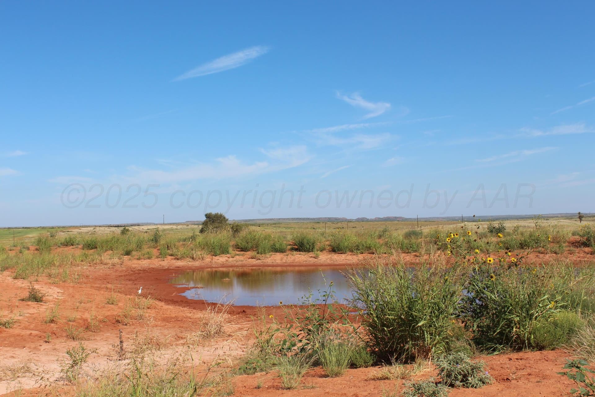 325 Acres Childress