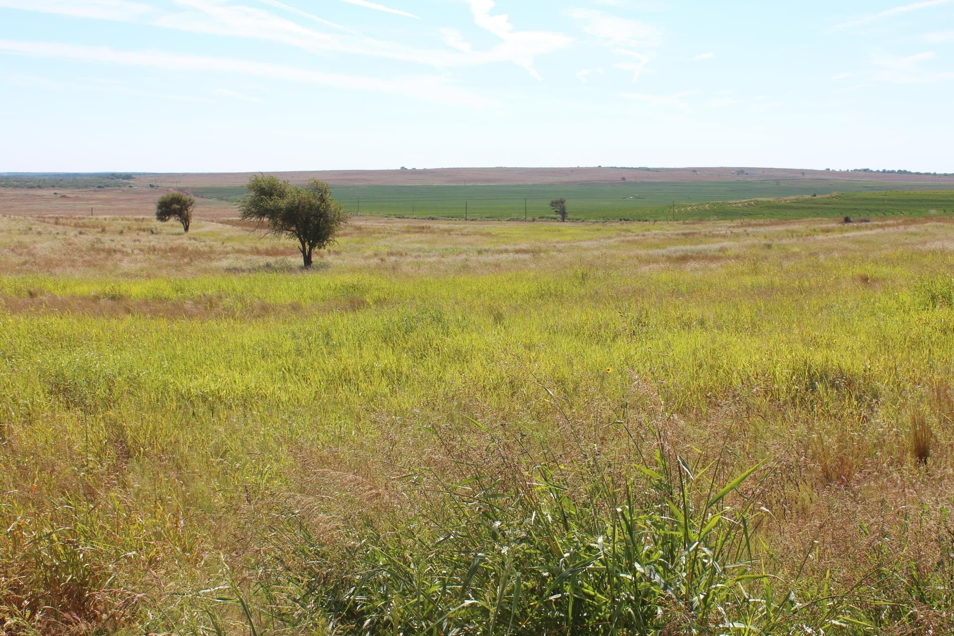 325.2 acres in Childress County - photo 4