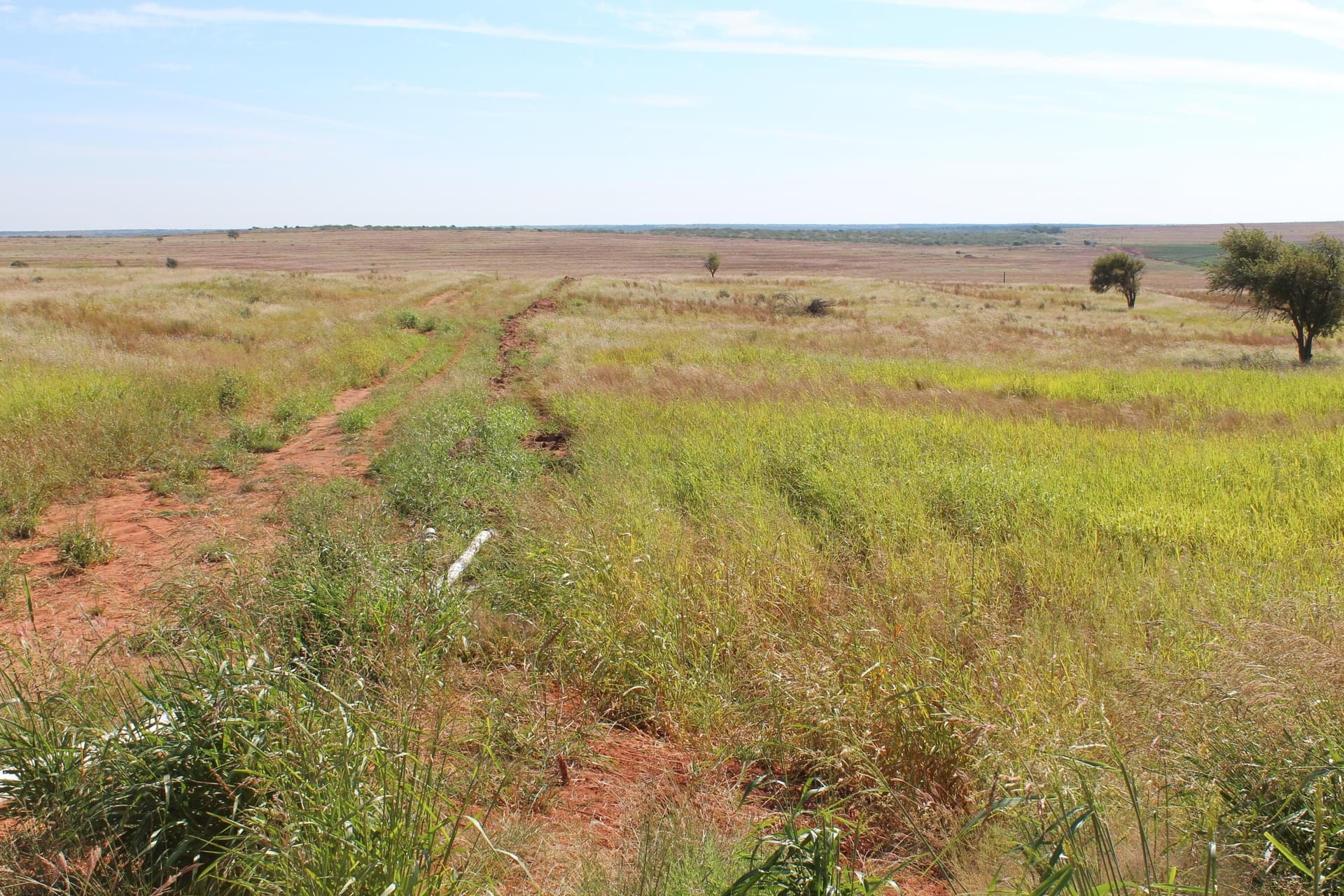 325.2 acres in Childress County - photo 3