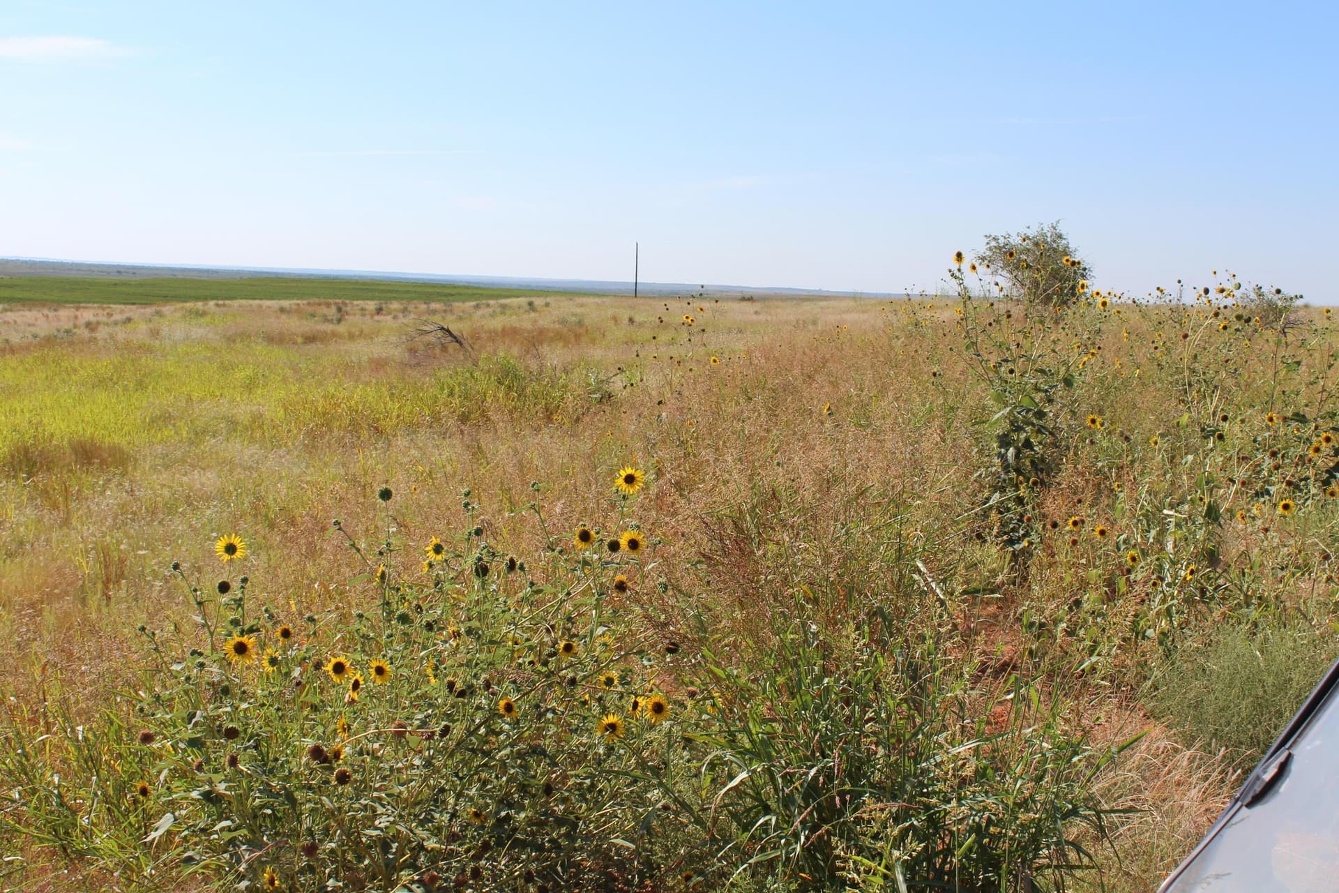 325.2 acres in Childress County - photo 5