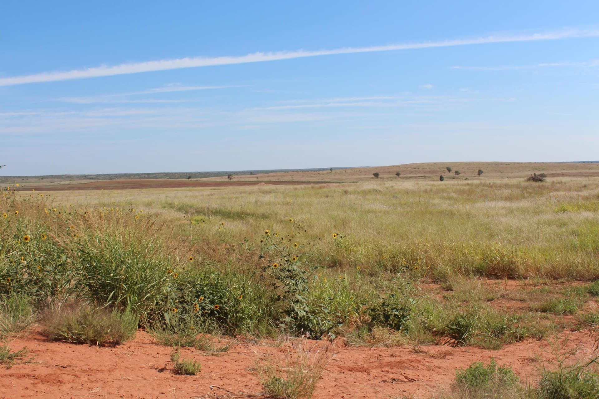 325.2 acres in Childress County - photo 2