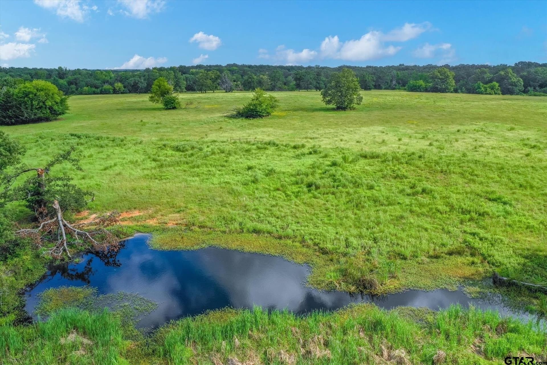 68 acres in Van Zandt County - photo 12
