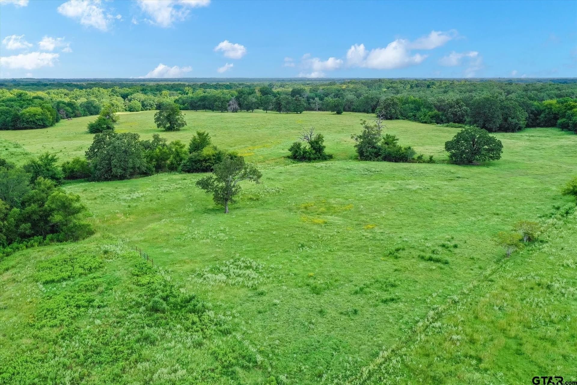 68 acres in Van Zandt County - photo 7