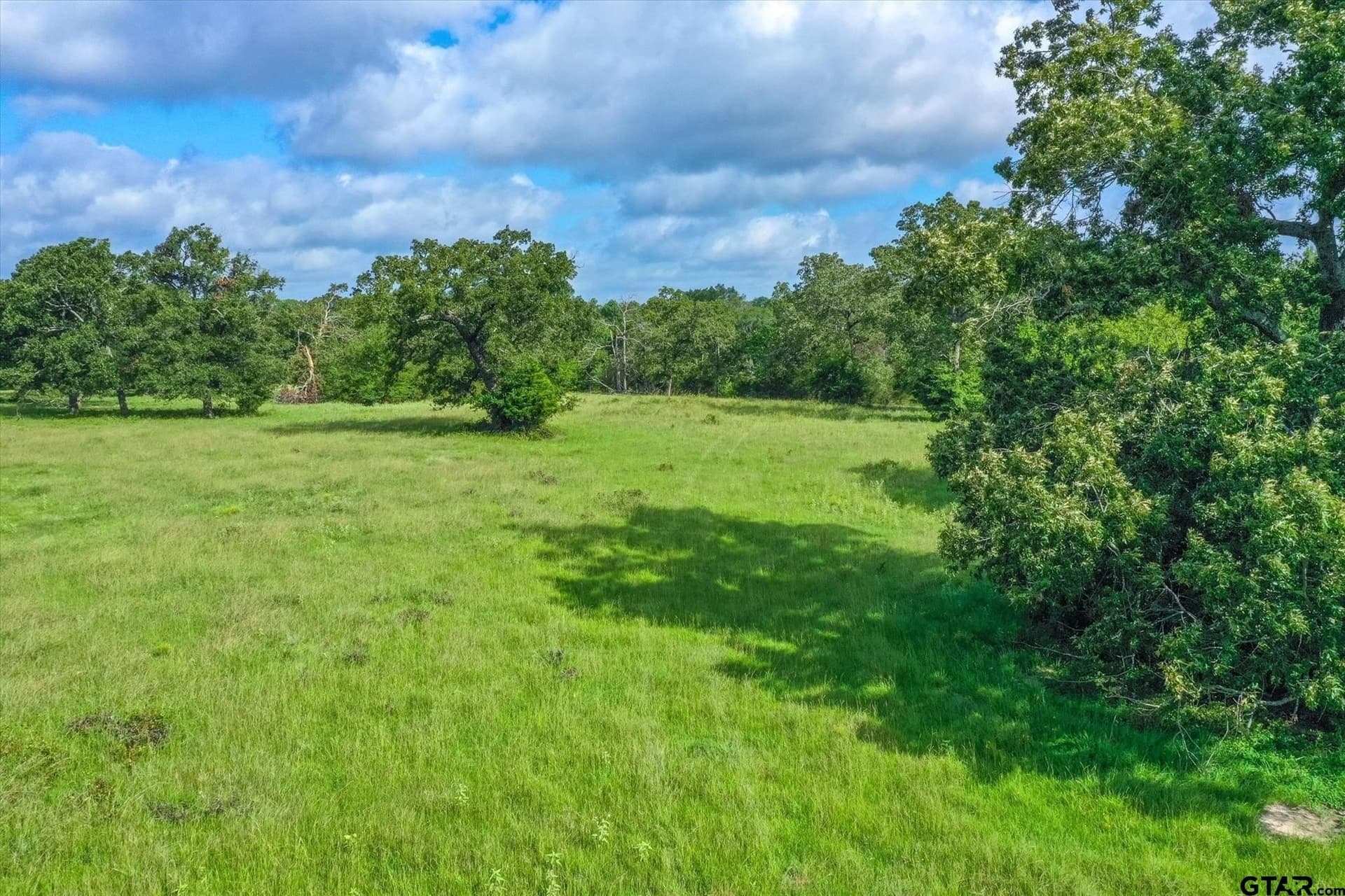 68 acres in Van Zandt County - photo 19