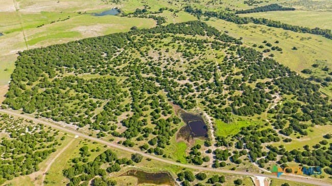 29.37 acres in Burnet County - photo 4