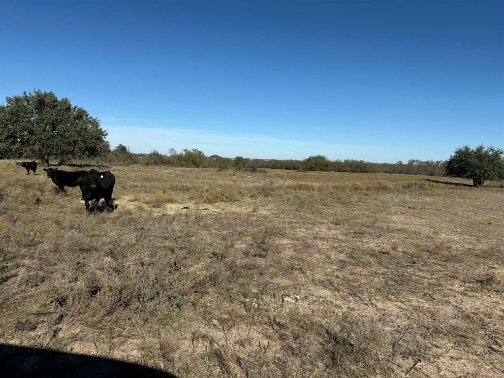 343.33 acres in Brown County - photo 8