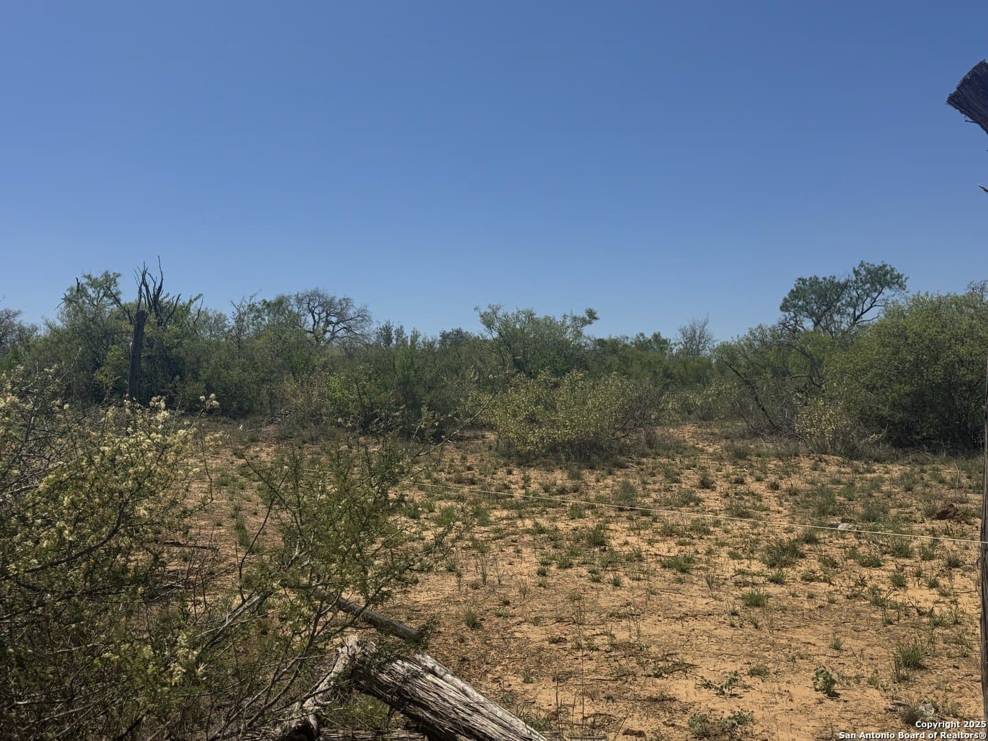 6.5 acres in Atascosa County - photo 3