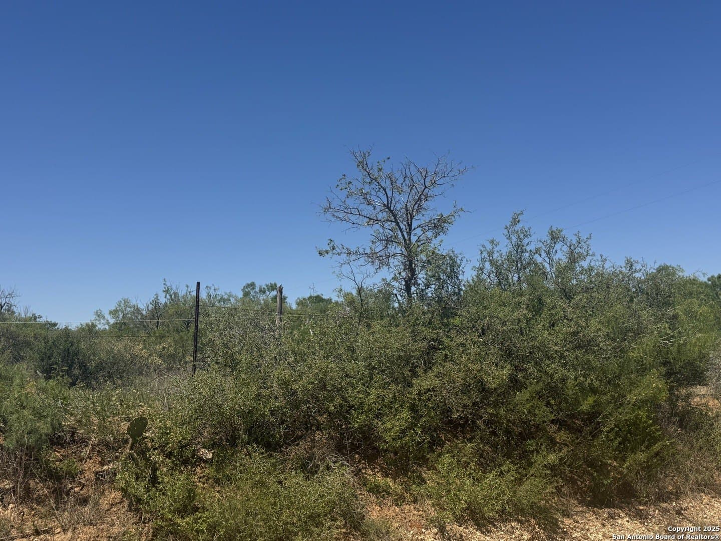 6.5 acres in Atascosa County - photo 4