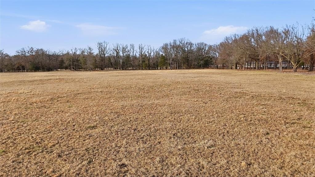 24.06 acres in Lamar County - photo 18