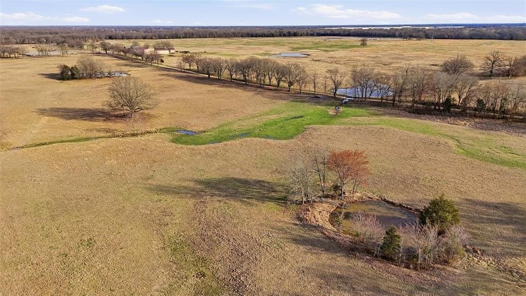 24.06 acres in Lamar County - photo 4