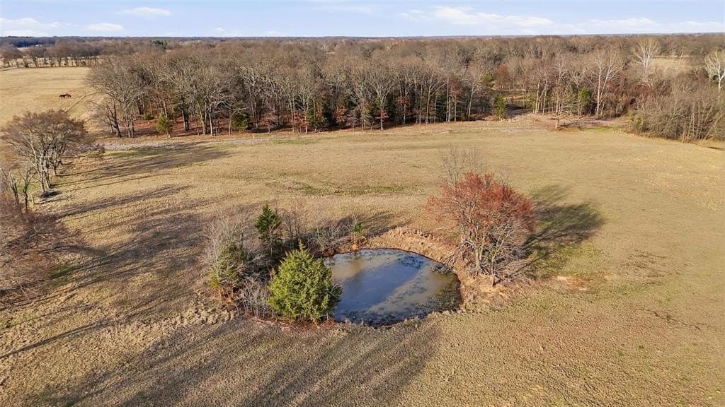 24.06 acres in Lamar County - photo 11