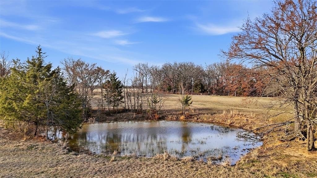 24.06 acres in Lamar County - photo 8