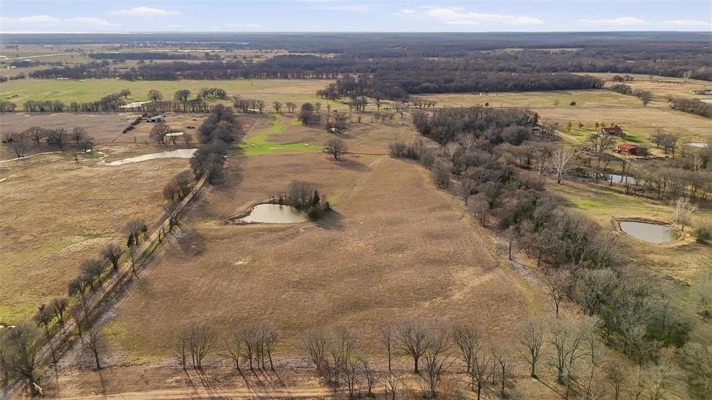 24.06 acres in Lamar County - photo 24