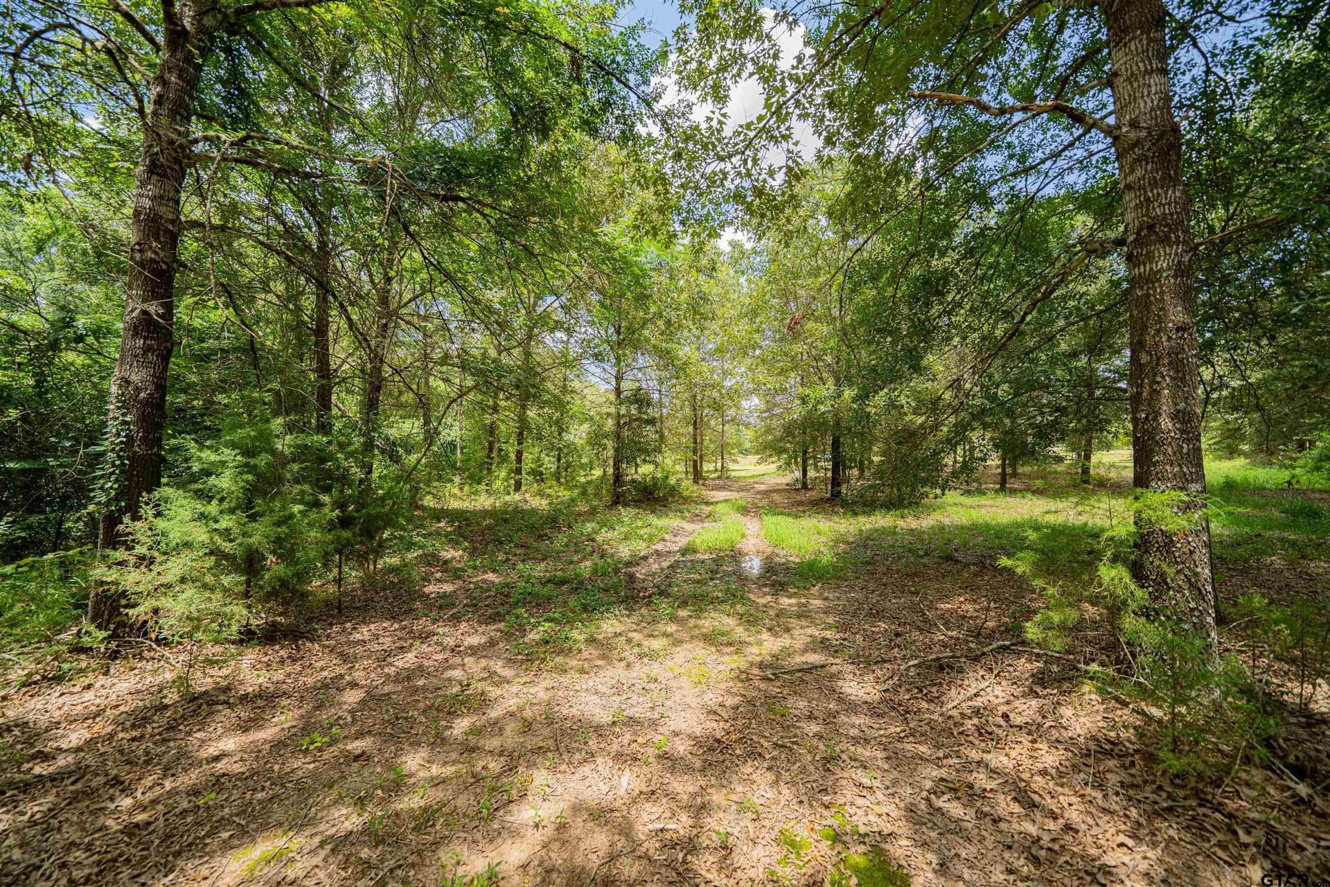 29.71 acres in Franklin County - photo 21