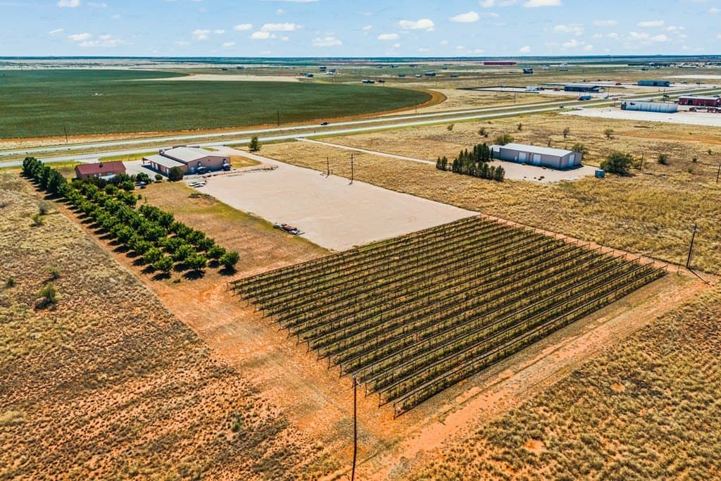 20.01 acres in Gaines County - photo 4