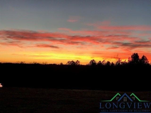 23 acres in Upshur County - photo 21
