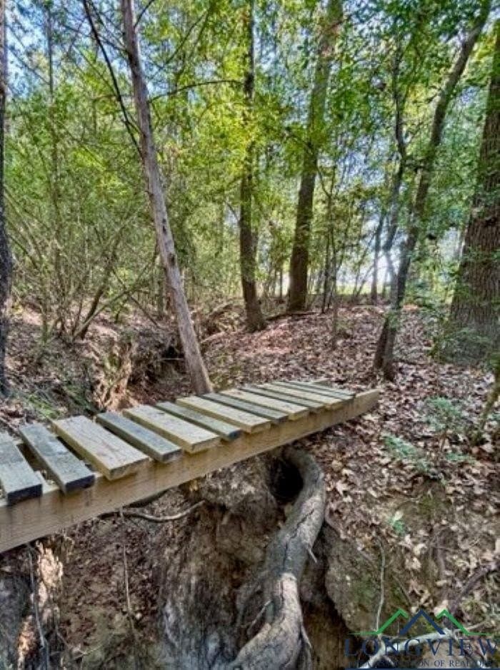 23 acres in Upshur County - photo 11