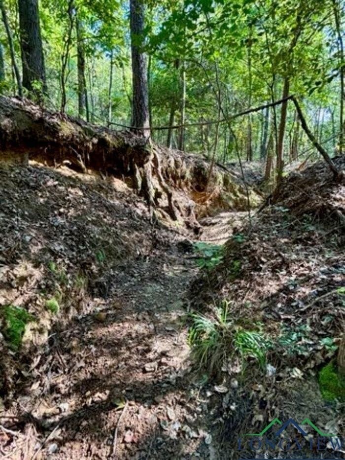 23 acres in Upshur County - photo 15