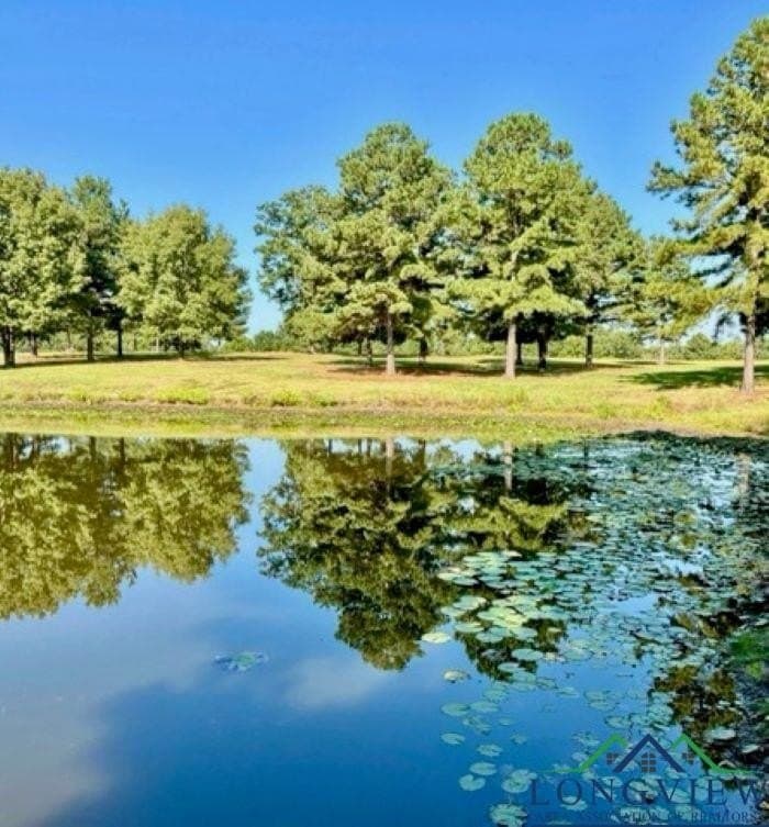 23 acres in Upshur County - photo 10