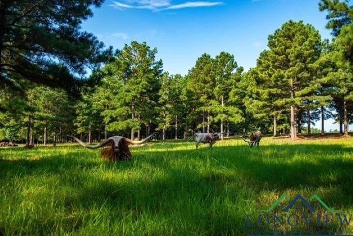 23 acres in Upshur County - photo 27