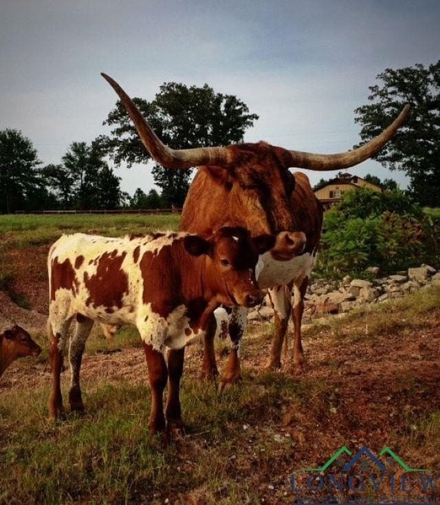 23 acres in Upshur County - photo 31