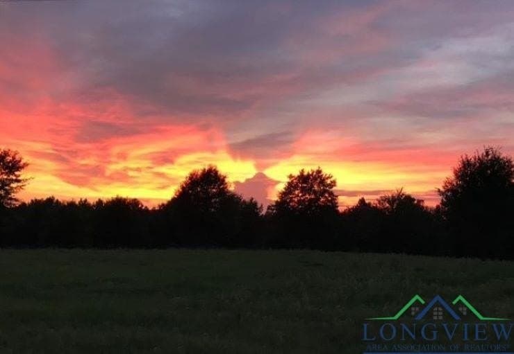 23 acres in Upshur County - photo 28