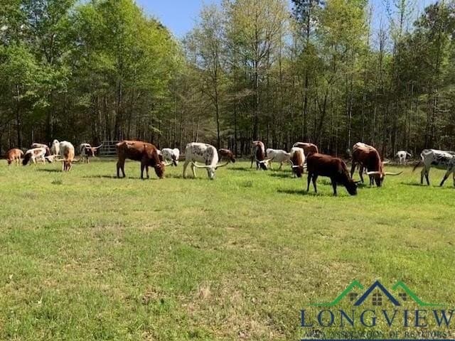 23 acres in Upshur County - photo 29