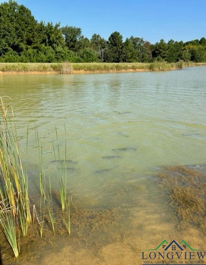 23 acres in Upshur County - photo 13