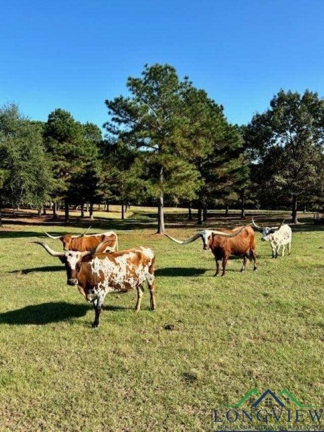 23 acres in Upshur County - photo 26