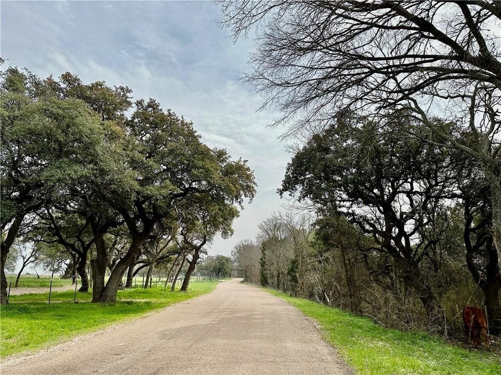 9 acres in Coryell County - photo 8