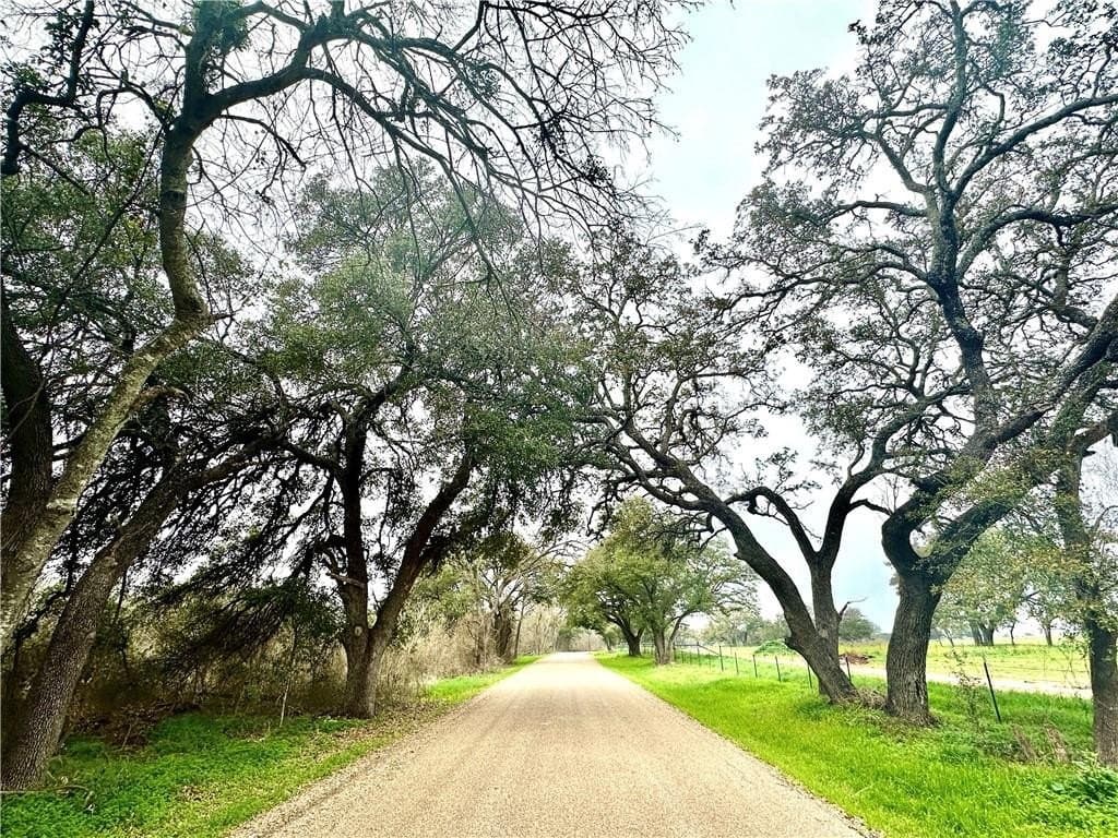 9 acres in Coryell County - photo 13