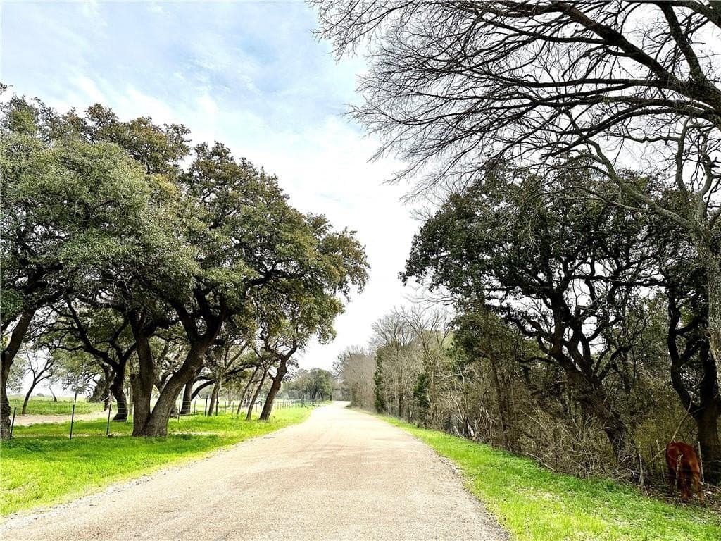 9 acres in Coryell County - photo 14