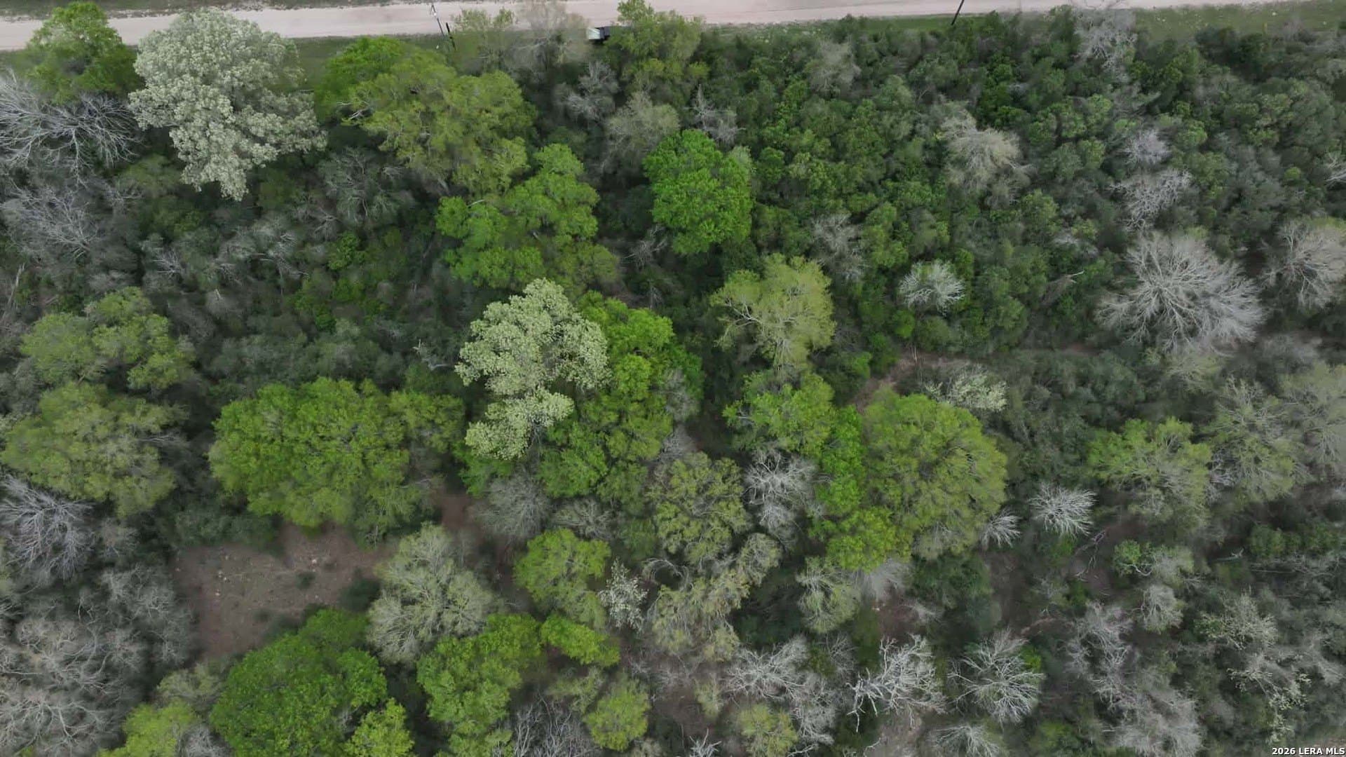 0.6 acres in Waller County - photo 5