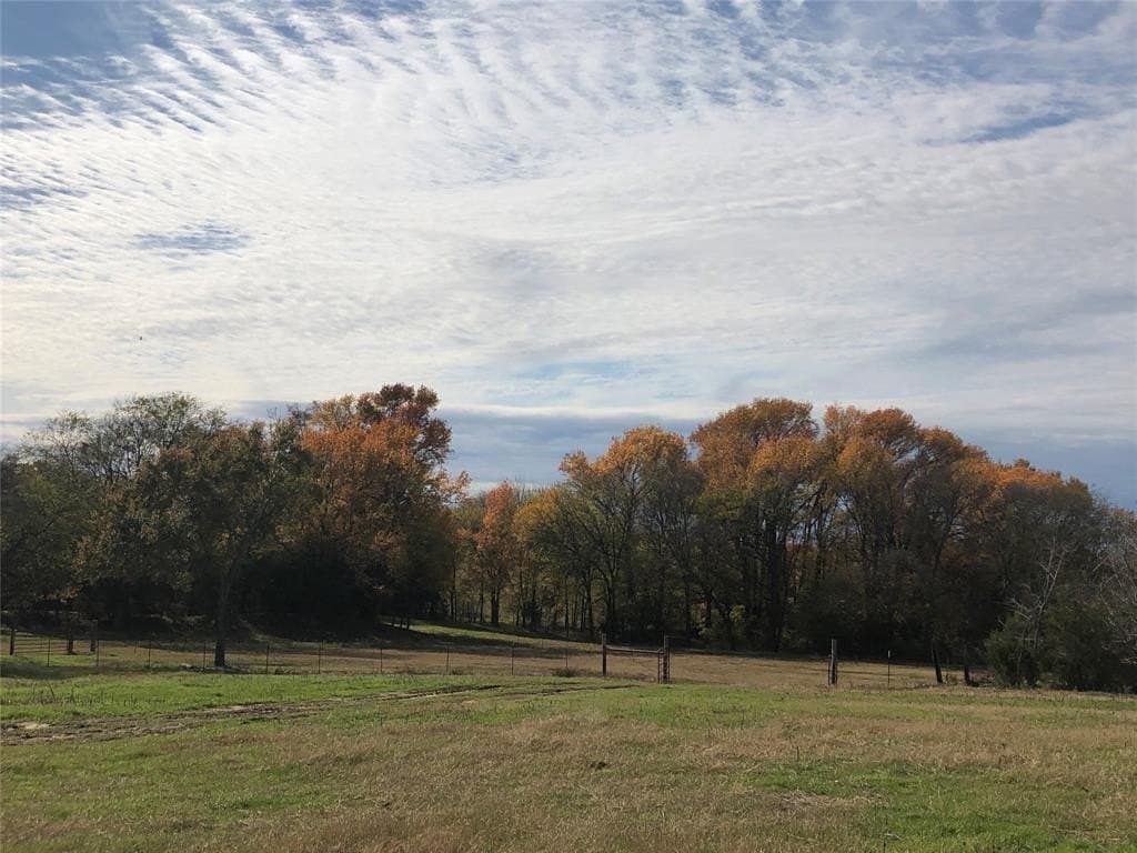 70.15 acres in Wood County - photo 11