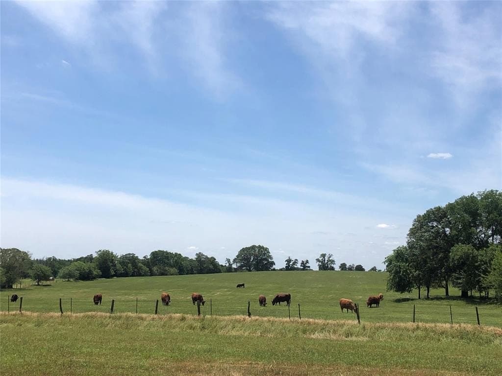70.15 acres in Wood County - photo 5