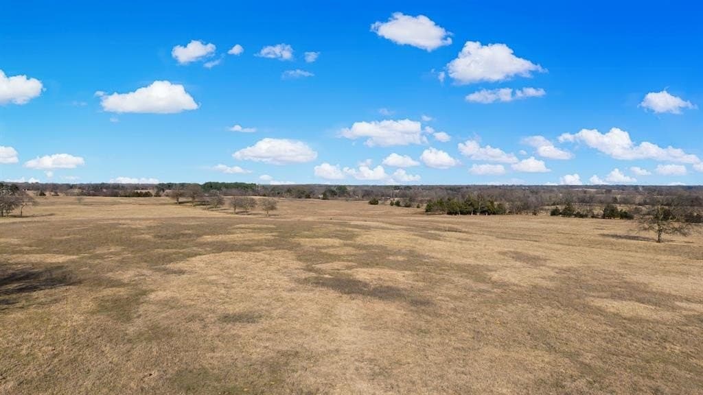 70.15 acres in Wood County - photo 21